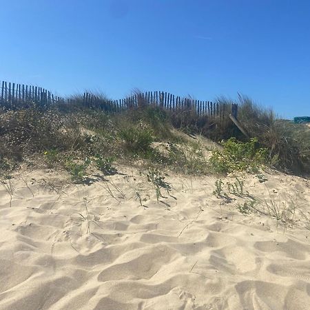 Vue Sur Dunes ! Sangatte Eksteriør billede