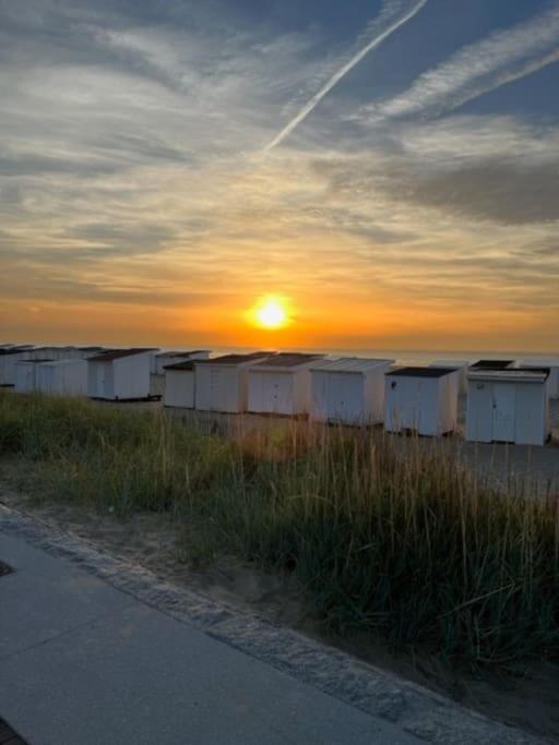 Vue Sur Dunes ! Sangatte Eksteriør billede