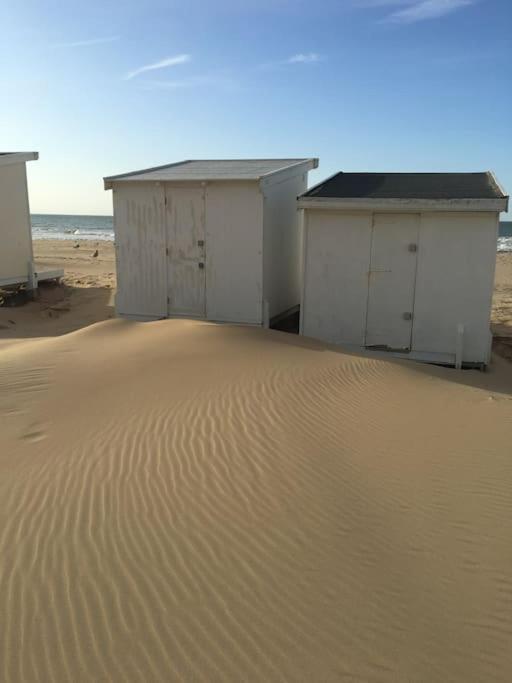 Vue Sur Dunes ! Sangatte Eksteriør billede