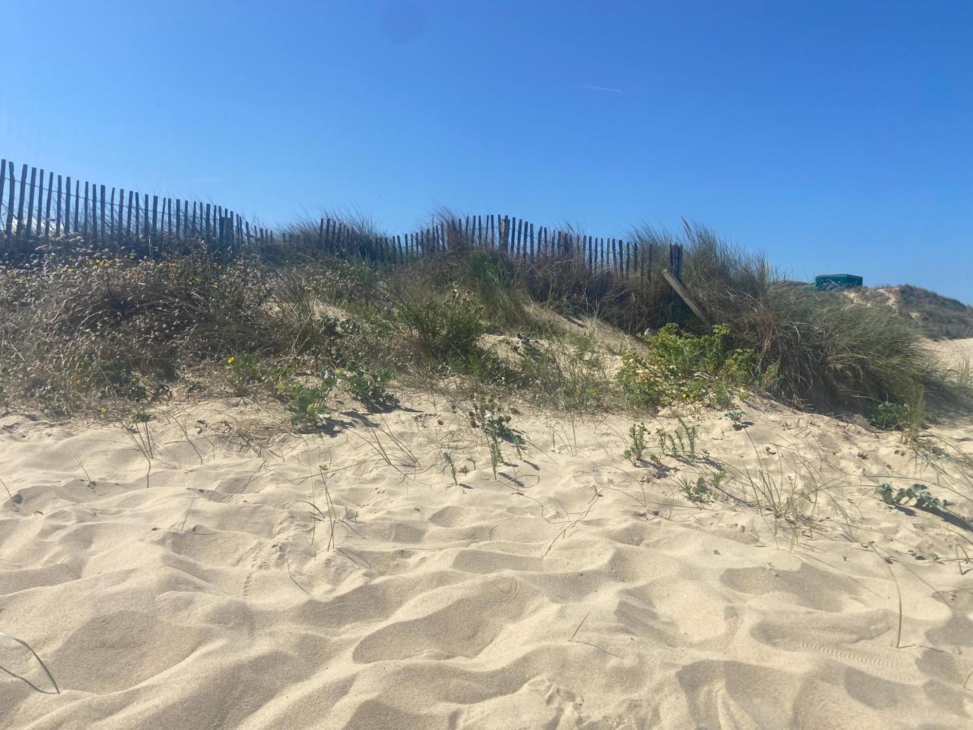 Vue Sur Dunes ! Sangatte Eksteriør billede